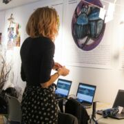 BPS showcasing Art Education research exhibition on transdisciplinary creativity.